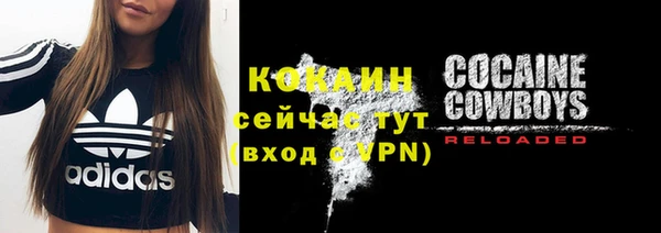 молекула духа Новозыбков