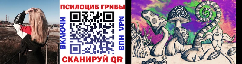 darknet Telegram  Любань  гидра ONION  Псилоцибиновые грибы Psilocybe  цена  